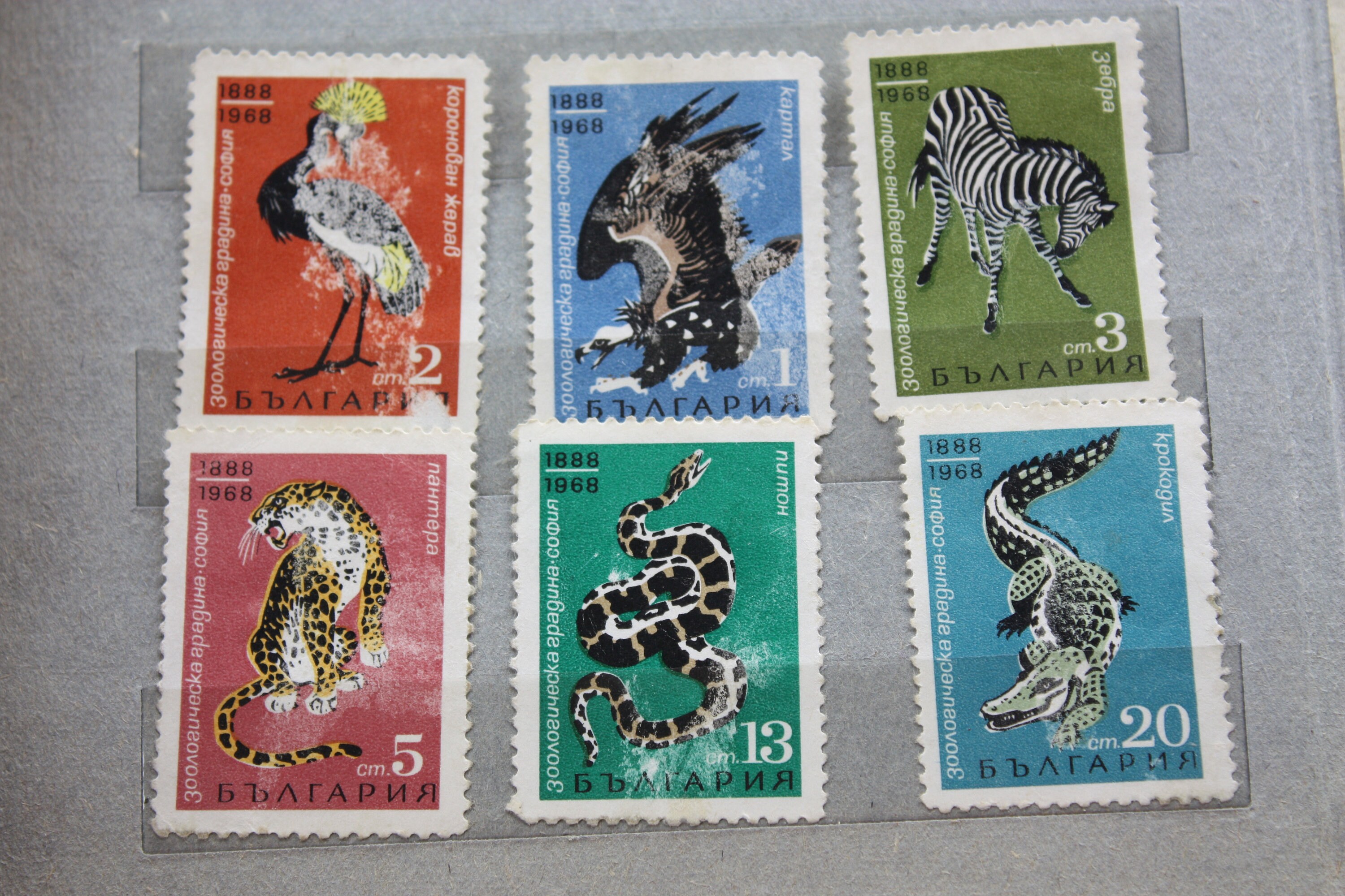 Bulgaria Postage Stamp Vintage Postage Stamps Collectible - Etsy Singapore Bulgaria Postage Stamp Vintage Postage Stamps Collectible - Etsy Singapore