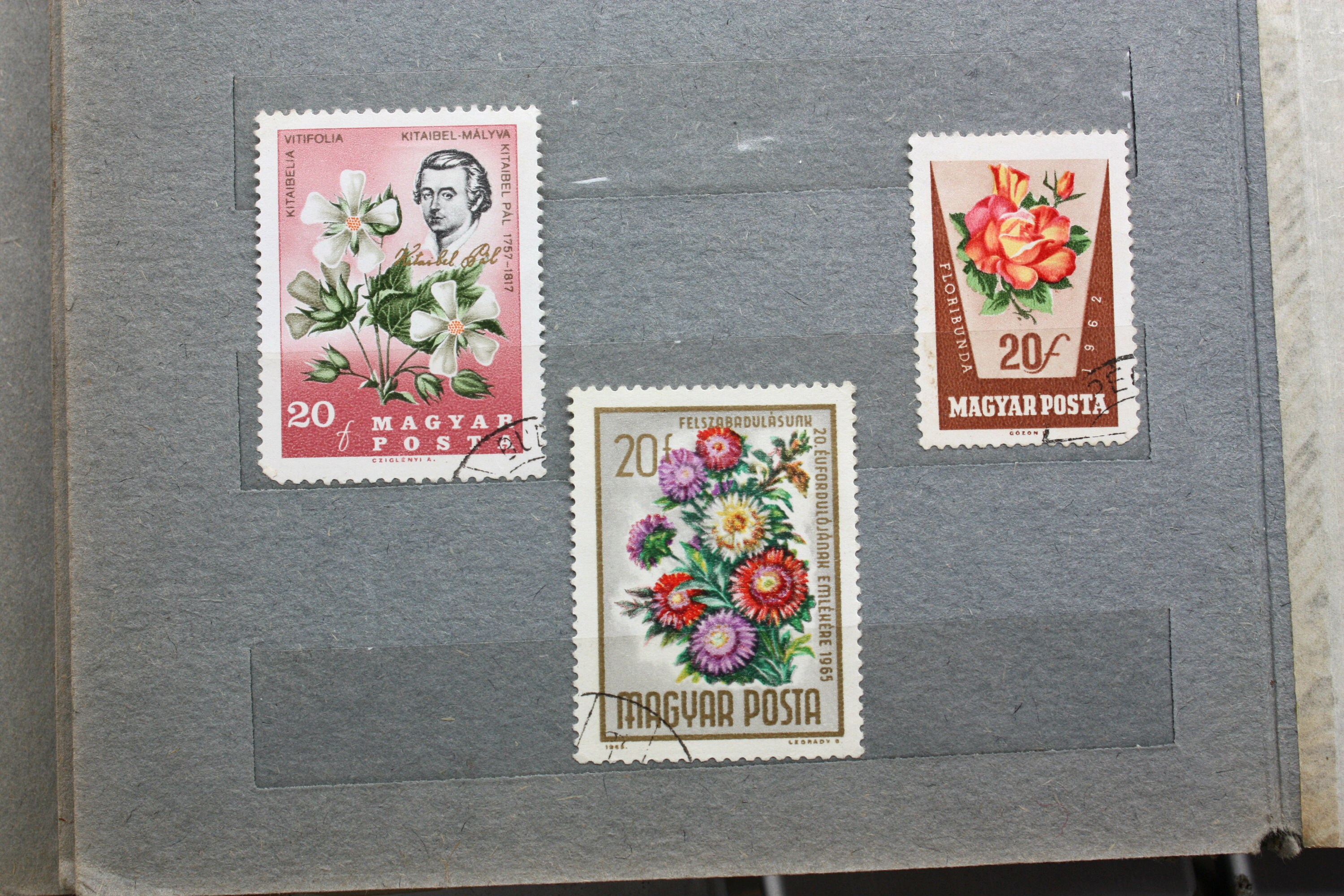 Magyar posta stamps - Etsy 日本