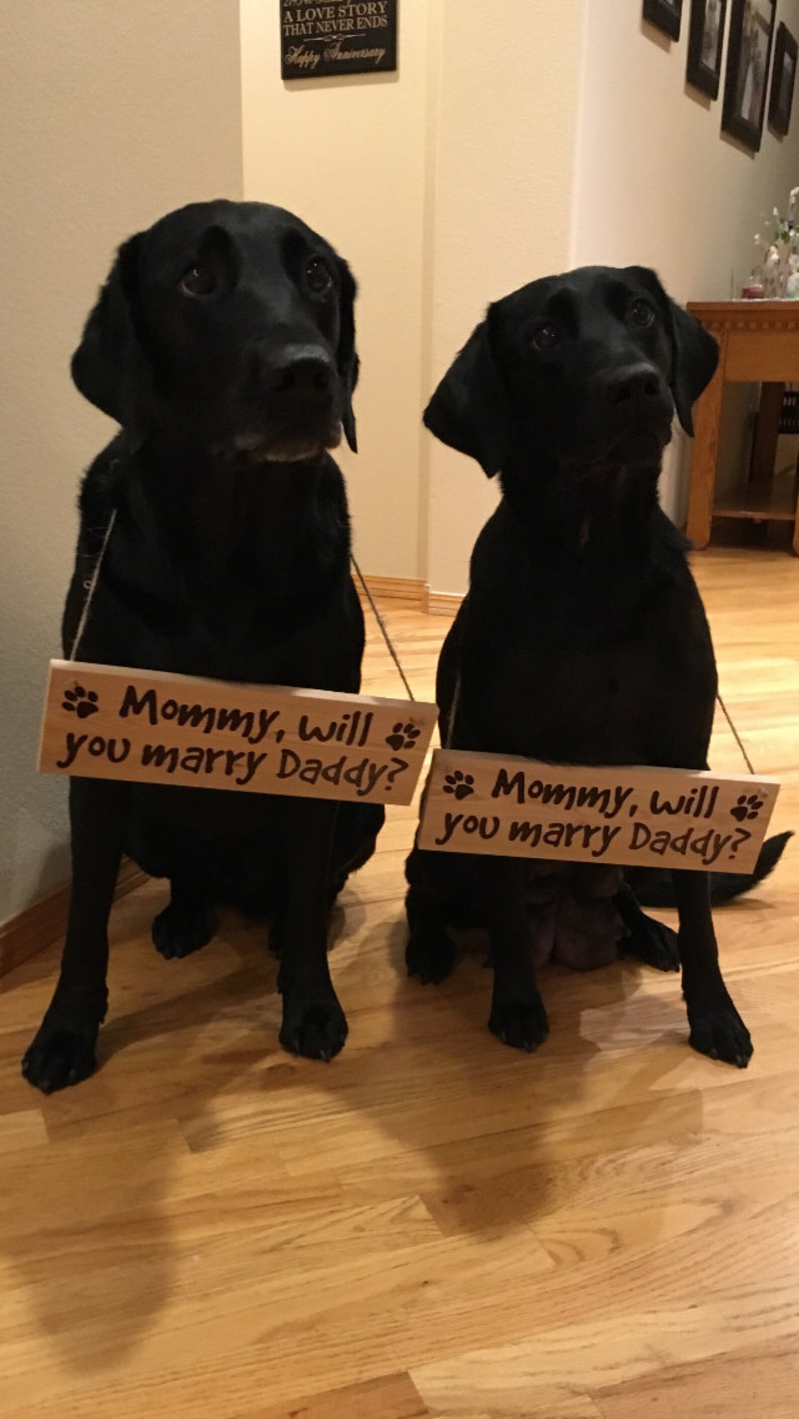 Wooden Dog Engagement Sign Proposal Sign Handmade Etsy