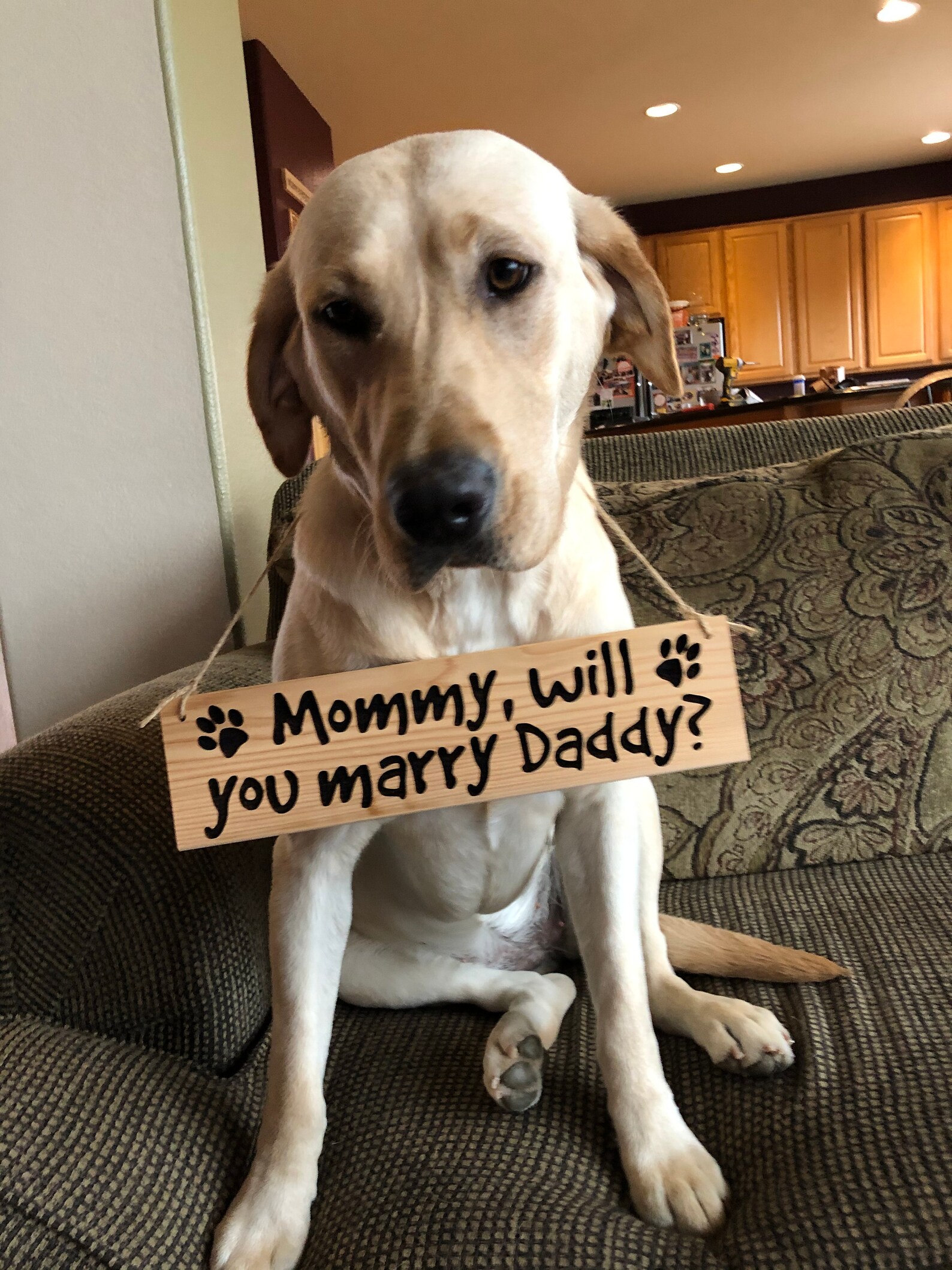 Wooden Dog Engagement Sign Proposal Sign Handmade Etsy
