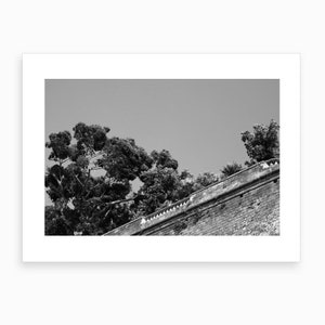 Fortress Trees, Italy. Black and White Photography, Wall Decor, Travel Photography, Landscape Photograph