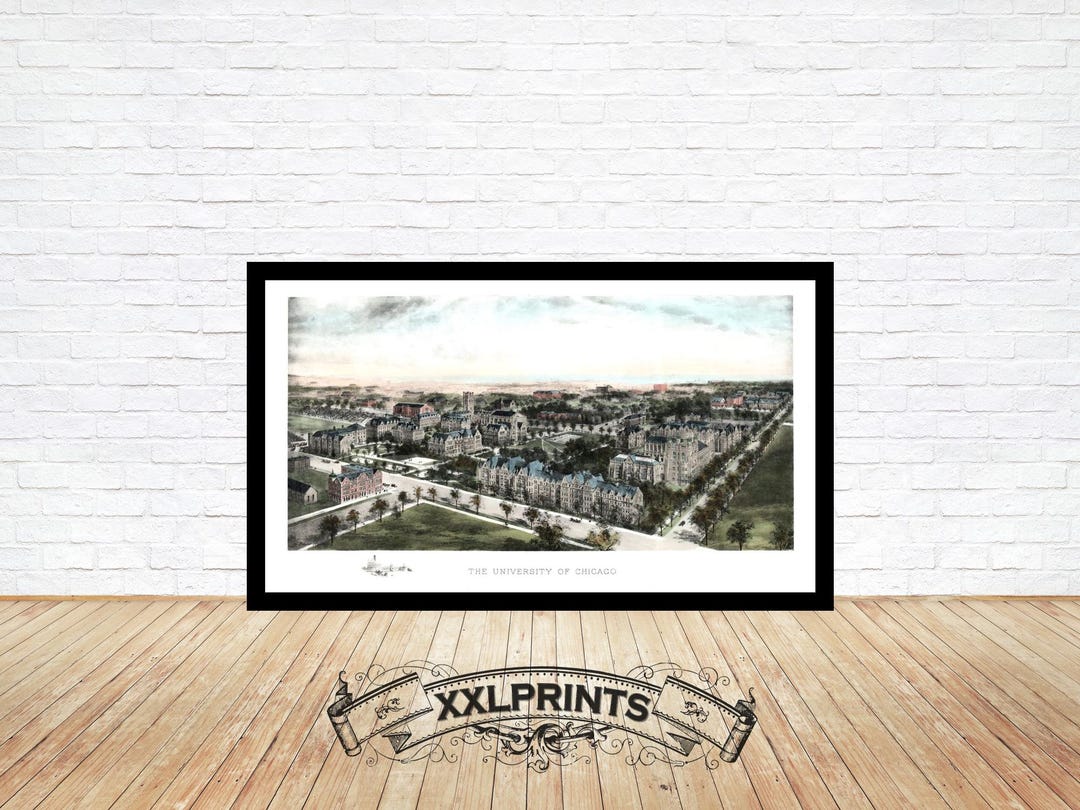 University of Chicago 1908 Bird's Eye View: Fine Art Map Print - Etsy