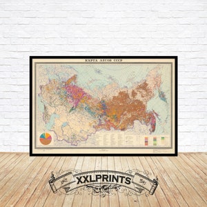 May include: A vintage map of the forests of the USSR, printed in muted colours on a cream background. The map shows the different types of forests in the USSR, with a key at the bottom. The map is framed in a black frame.