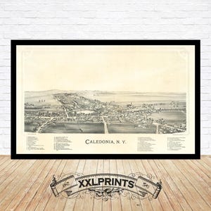 Antike Vogelschau von Caledonia, N.Y., 1892, feine Reproduktion, große Karte, Fine Art Druck, Übergröße Landkarte
