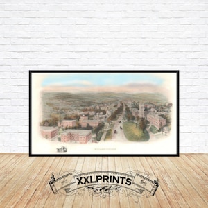Williams College, Massachusetts, aus der Vogelperspektive, 1906, feine Reproduktion, große Karte, Fine Art Druck, Überformatkarte Druck