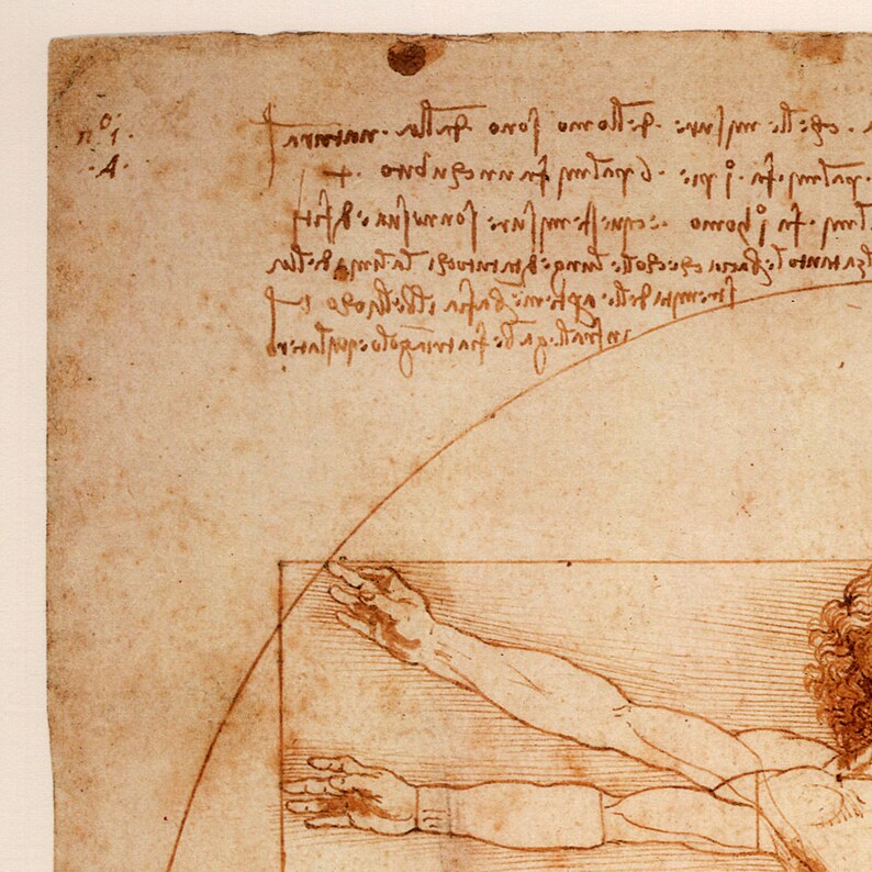 oversize print Vitruvian Man fine art print fine reproduction 1490 Leonardo Da Vinci