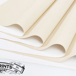 The canvas we're printing on