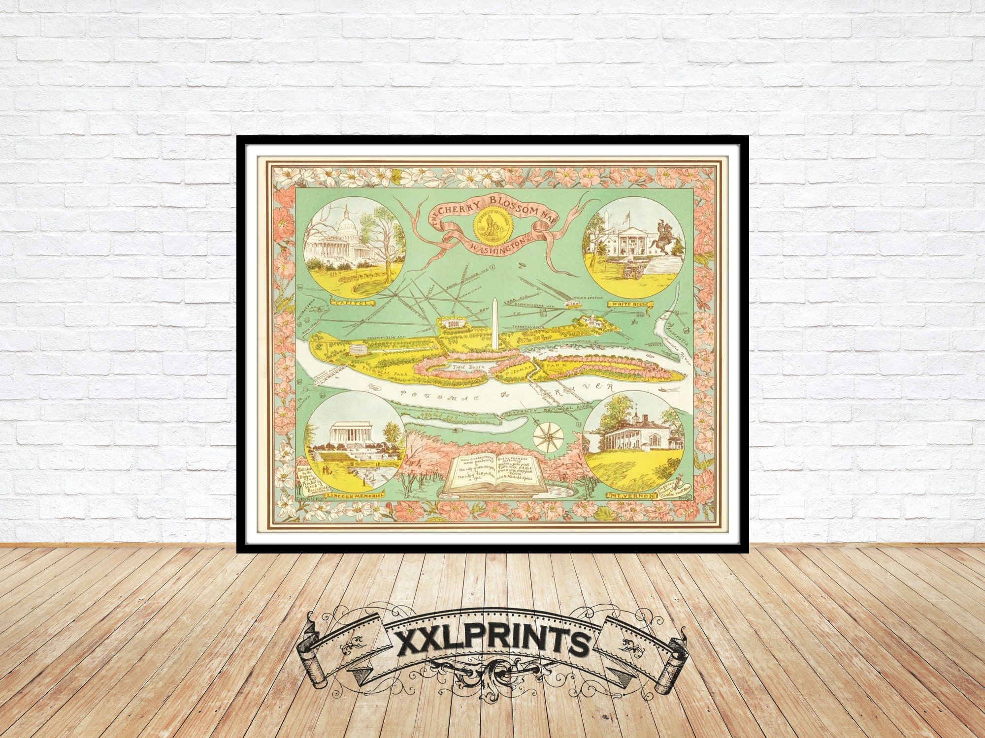 Old map of cherry blossom bloom along the Potomac river, Washington Dc, 1937, fine reproduction, large map,fine art print,oversize map print