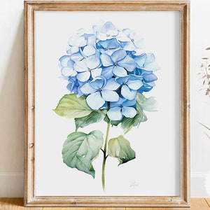 Blue Watercolor Hydrangea Fine Art Print On Canvas, Botanical Picture Large Flower Gift, Farmhouse Minimalist Wall Decor Modern Wall Art