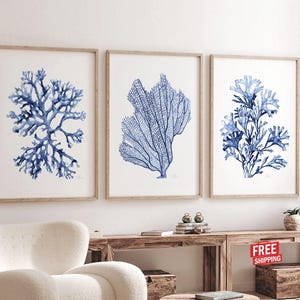 Coral Seaweed, Navy Blue Watercolor Set of 3 Prints, Minimalist Artwork Botanical Posters Nautical Room Decor Beach House