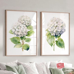 White Hydrangea Annabelle Painting, Set of 2 Prints Watercolor Illustration, Modern Hamptons Wall Decor Extra Large Prints