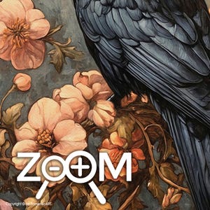 May include: A close-up of a dark blue raven perched on a branch with delicate pink flowers. The raven's feathers are detailed and the flowers are soft and delicate. The image is titled "ZOOM" with a magnifying glass icon.