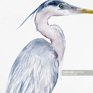 May include: Watercolor painting of a blue heron with a long neck and beak. The bird is facing to the right and has a light blue and gray color scheme.