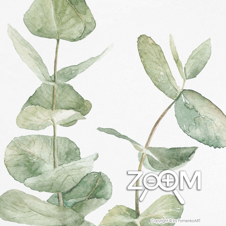 Puede incluir: Pintura acuarela de dos ramas de eucalipto con hojas verdes sobre un fondo blanco. Las ramas est&aacute;n dispuestas en una composici&oacute;n vertical, con las hojas superpuestas y creando una sensaci&oacute;n de profundidad. La pintura est&aacute; realizada en un estilo realista, con pinceladas delicadas y sombras sutiles.
