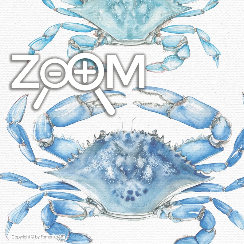 May include: Watercolor illustration of two blue crabs on a white background. The crabs are detailed with shades of blue and have a textured appearance. The word "ZOOM" is overlaid on the image.