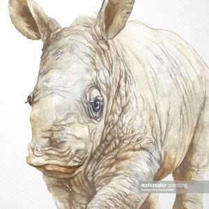 May include: A watercolor painting of a white rhinoceros calf. The calf is facing the viewer with its head tilted slightly to the side. The calf's eyes are open and looking directly at the viewer. The calf's skin is a light brown color with a few darker brown patches. The calf's mouth is slightly open, as if it is about to speak. The background is a light white color.