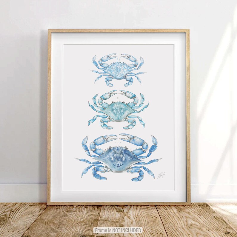 May include: A framed print featuring three blue crab illustrations arranged vertically on a white background. The crabs are detailed with varying shades of blue, and the frame is a light wood color. The text "Frame is NOT INCLUDED" is at the bottom.