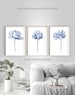 Printable wall art Downloadable prints Bedroom wall decor Living room Wall art bathroom Blue Peony flowers Floral painting 3 piece 