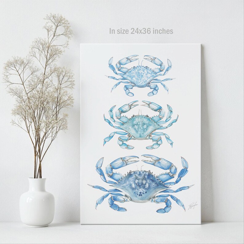 May include: A canvas print featuring three blue crab illustrations. The artwork, measuring 24 x 36 inches, showcases detailed watercolor renderings of the crustaceans. The crabs are in varying shades of blue, set against a white background.