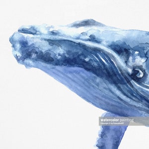 May include: A watercolor painting of a blue whale's head and part of its body. The whale is painted in shades of blue and gray, with a white background. The painting is signed "watercolor painting" and "Copyright &copy; by FomekaART".