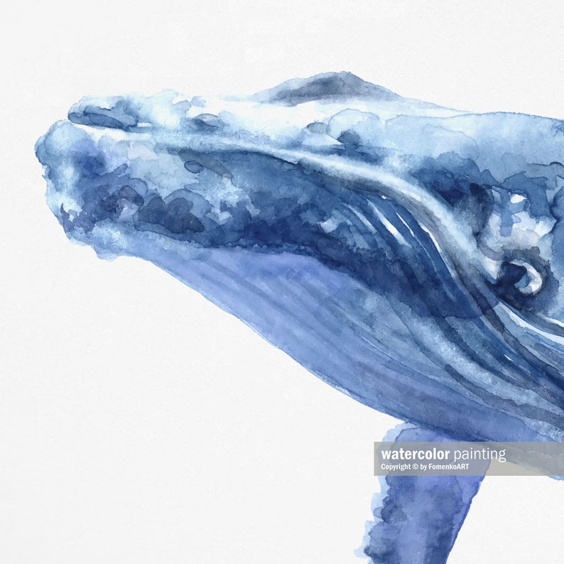 May include: A watercolor painting of a blue whale's head and part of its body. The whale is painted in shades of blue and gray, with a white background. The painting is signed "watercolor painting" and "Copyright &copy; by FomekaART".