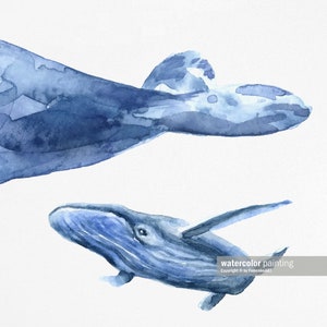 May include: Watercolor painting of two blue whales, one larger than the other, swimming in the ocean. The whales are painted in a light blue color with darker blue accents. The painting is on a white background.