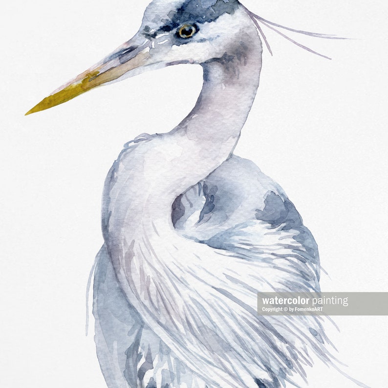 May include: Watercolor painting of a blue heron with a long neck and beak. The bird is painted in shades of blue and gray, with a hint of yellow on the beak.