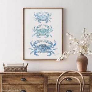 May include: A framed print featuring three blue crab illustrations. The crabs are depicted in a watercolor style, with varying shades of blue and intricate details. The artwork is displayed in a wooden frame, suitable for coastal or nautical decor.