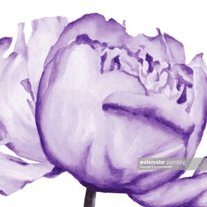 Purple room decor Watercolor flowers print Peony painting Printable wall art image 7