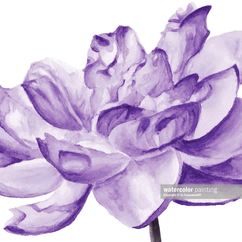 Purple room decor Watercolor flowers print Peony painting Printable wall art image 9
