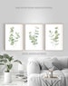 Bathroom wall decor Bedroom wall decor Living room Bathroom wall art Instant download Printable art Green Eucalyptus print Set of 3 wall art 