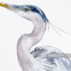May include: Watercolor painting of a blue heron with a long neck and a yellow eye. The bird is facing to the right and its head is tilted slightly upwards. The background is white.