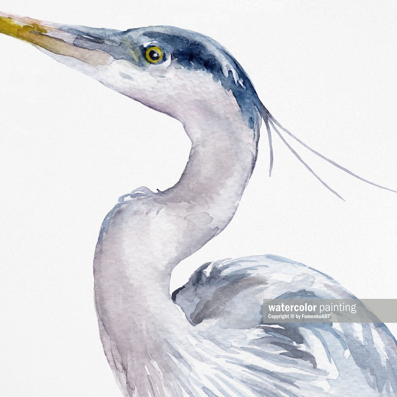 May include: Watercolor painting of a blue heron with a long neck and a yellow eye. The bird is facing to the right and its head is tilted slightly upwards. The background is white.