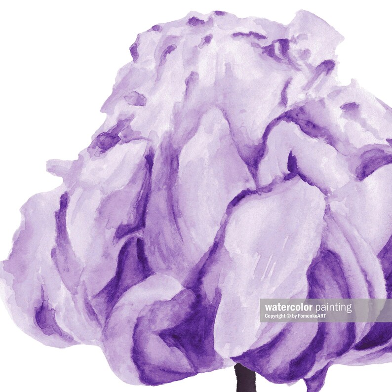 Purple room decor Watercolor flowers print Peony painting Printable wall art image 8