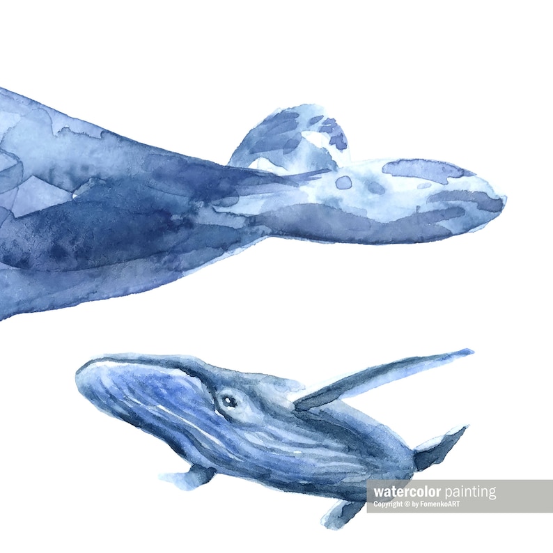 May include: Watercolor painting of two blue whales against a white background. The whales are depicted with soft brushstrokes, showcasing shades of blue. The larger whale is positioned at the top, with the smaller one below. The artwork is signed "watercolor painting" and "Copyright by FomenkaART".