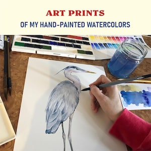 May include: A hand paints a watercolor illustration of a blue heron on white paper. The artist is using a brush and a jar of blue watercolor paint. The image is titled "Art Prints of My Hand-Painted Watercolors".