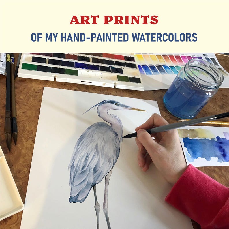 May include: A hand paints a watercolor illustration of a blue heron on white paper. The artist is using a brush and a jar of blue watercolor paint. The image is titled "Art Prints of My Hand-Painted Watercolors".