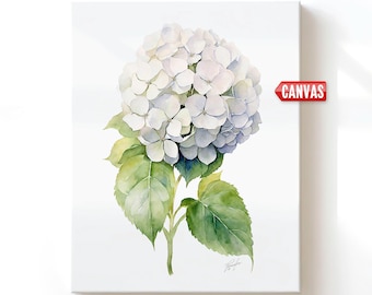 White Hydrangea Flower Wall Art Print - Watercolor Painting, Canvas or Poster Annabelle Large Floral Wall Decor, Botanical Plants Girl Gift