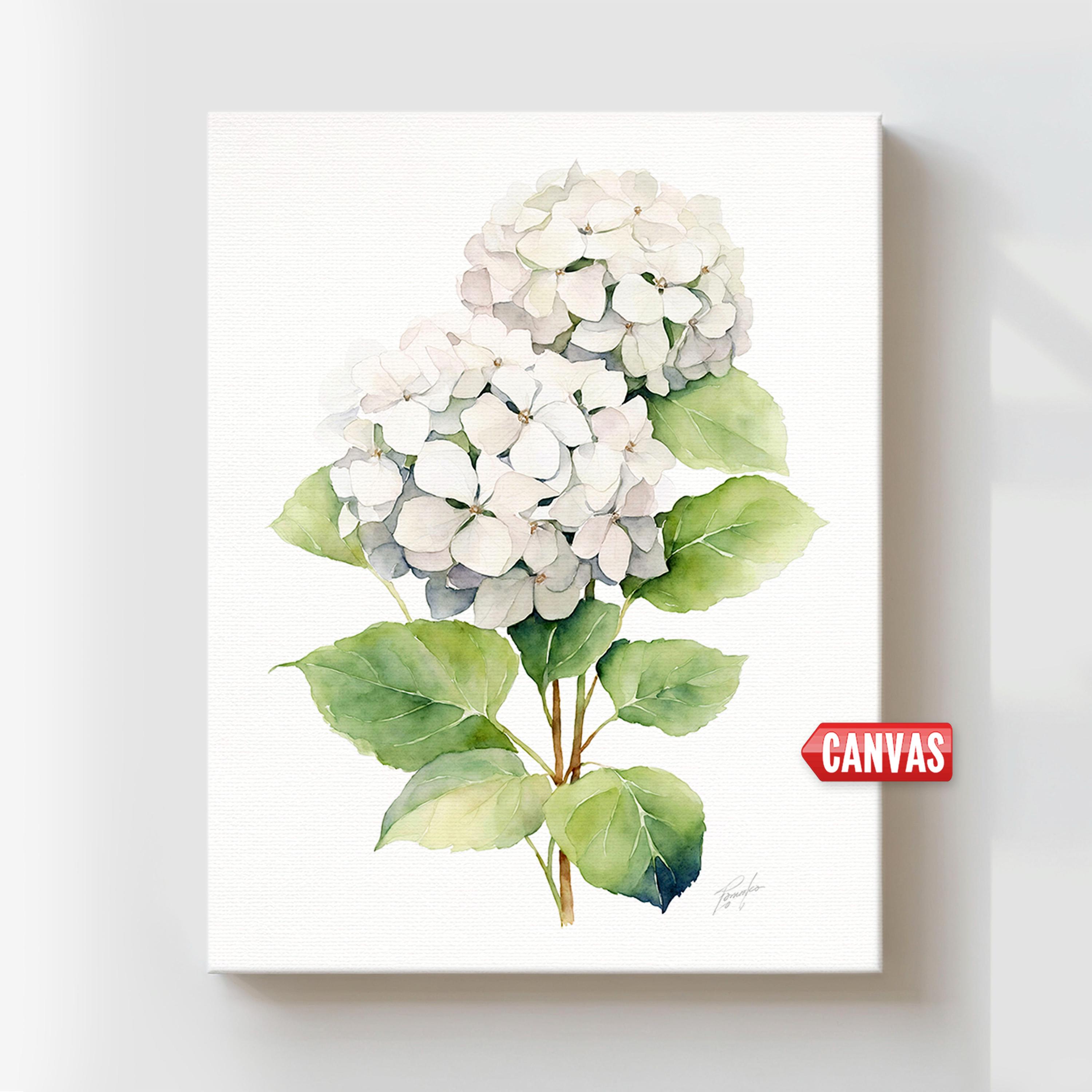 White Hydrangea Painting Watercolor Wall Art PRINT Floral Wall Decor ...