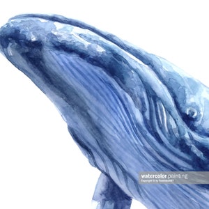 Whale Art Print, Humpback Whale Print, Printable Wall Art Nursery Print ...