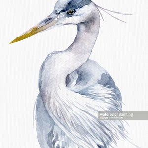 Great Blue Heron Bird Prints Coastal Wall Art Nautical Wall Decor Beach House Decor Watercolor Painting Large Ocean Picture Set of 3 Artwork image 8