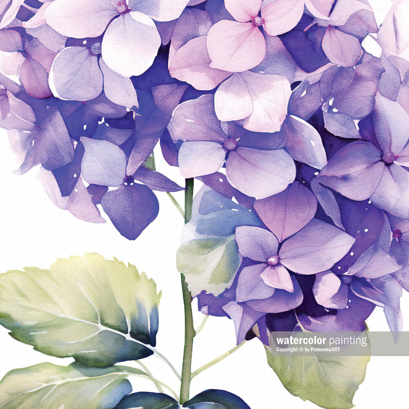 Purple Hydrangea Watercolor Print on Canvas, Botanical Wall Art ...