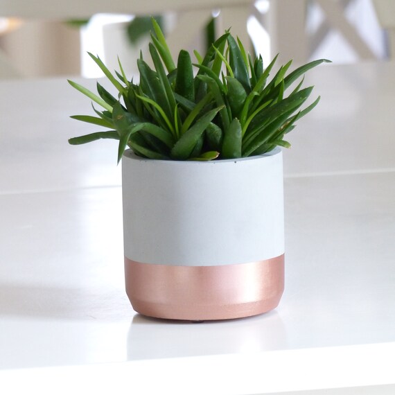 Round Indoor Grey And Rosegold Cement Flower Pot Hygge Concrete Planter Pot Modern Gardening For Potted Cactus And Succulent Plants