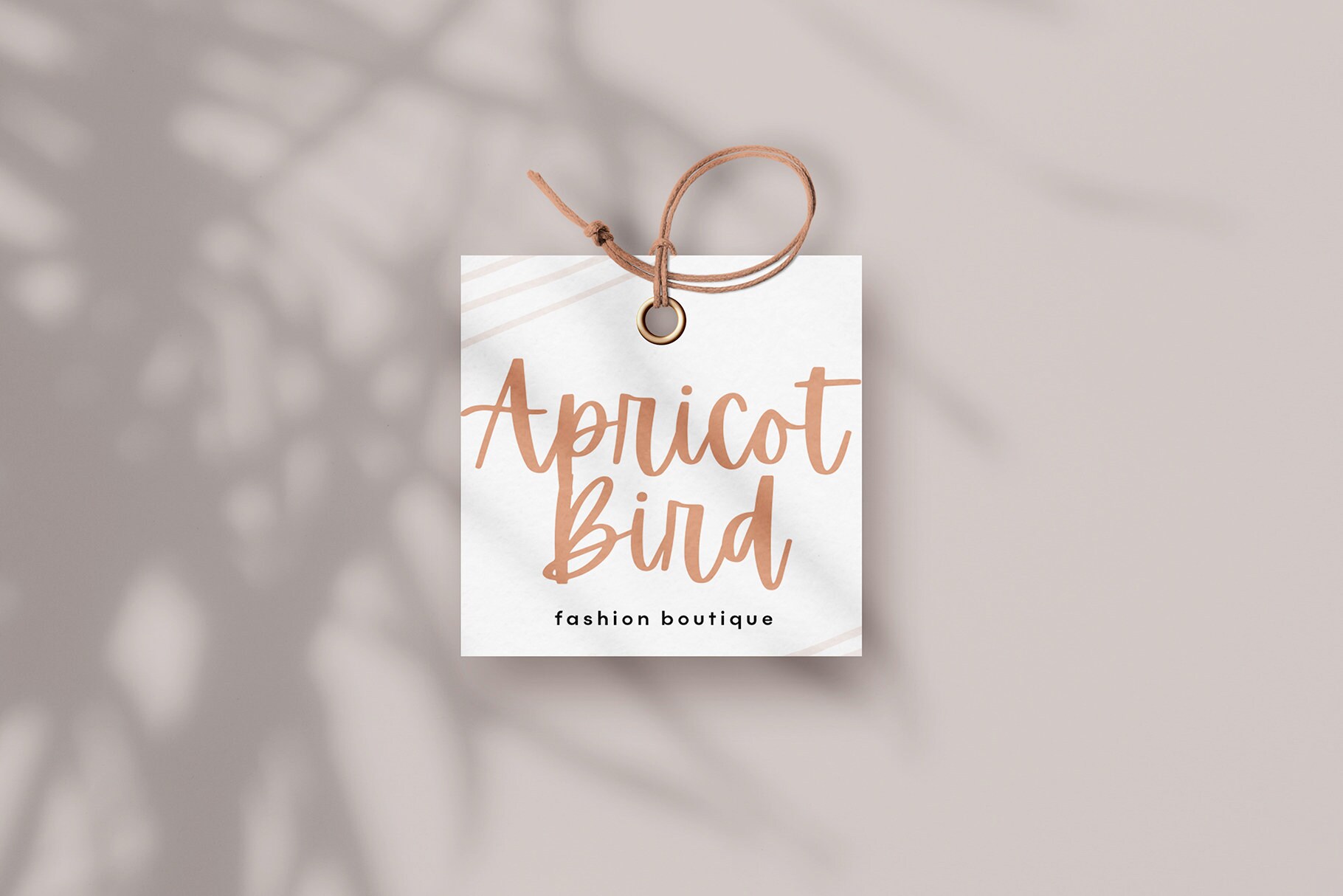 Apricots Font Script Font Cricut Fonts Modern Calligraphy Etsy