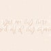 Always Font - A Handwritten Signature Script Font, Modern Calligraphy ...