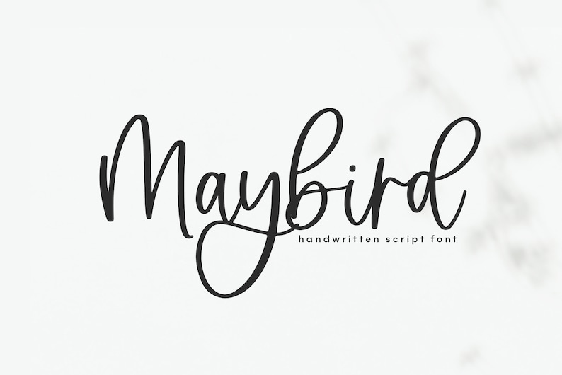 Maybird Font Modern Handwritten Script Font, Modern Calligraphy, Cricut Fonts, Wedding Font, Elegant Font image 1