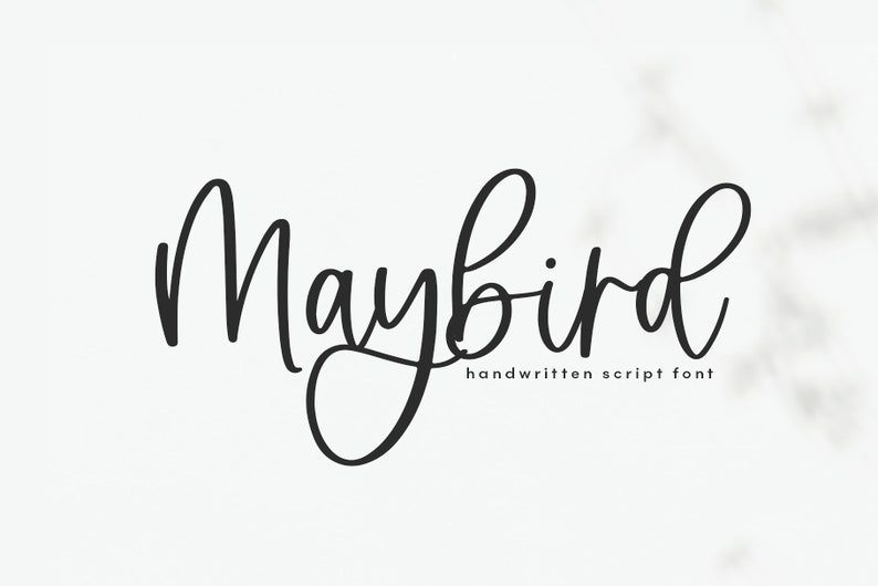 Maybird Font - Modern Handwritten Script Font, Modern Calligraphy ...