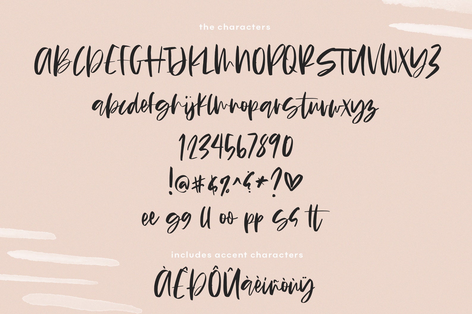 Glossy Font A Chic Handwritten Script Font Fonts for Etsy