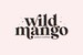 Wild Mango Font - Serif Font, Modern Font, Boho Font, Branding Font, Swash Font, Fonts for Cricut, Bohemian Fonts, Cricut Fonts 