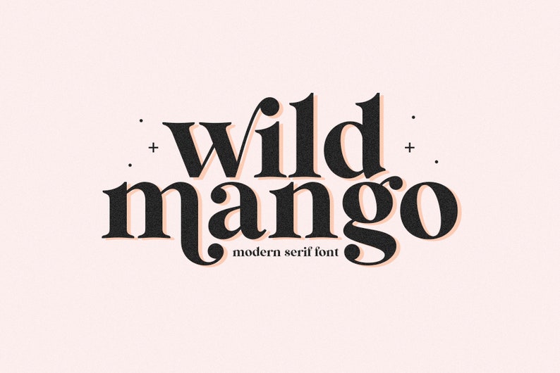 Wild Mango Font - Serif Font, Modern Font, Boho Font, Branding Font, Swash Font, Fonts for Cricut, Canva Fonts, Cricut Fonts, Laser Fonts image 1